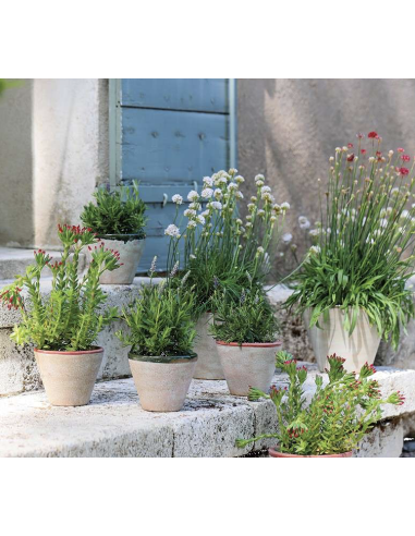 CACHE POT TREVISO - WMG
