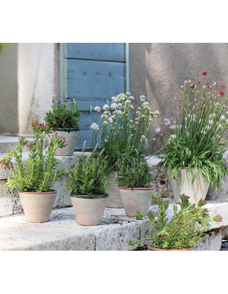 CACHE POT TREVISO - WMG