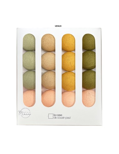 COFFRET GUIRLANDE LED AVEC TELECOMMANDE - LA CASE DE COUSIN PAUL