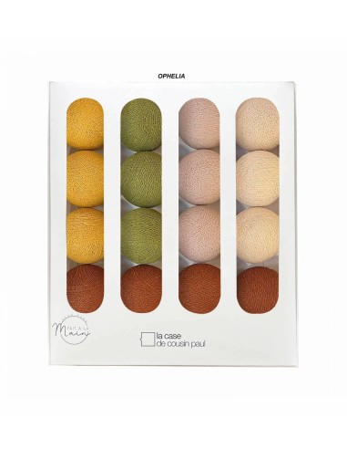 COFFRET GUIRLANDE LED AVEC TELECOMMANDE - LA CASE DE COUSIN PAUL