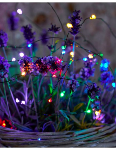 GUIRLANDE LUMINEUSE MULTICOLORE - SIRIUS 