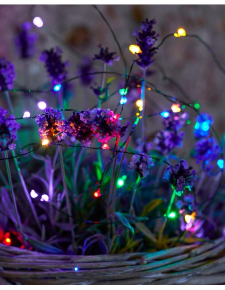 GUIRLANDE LUMINEUSE MULTICOLORE - SIRIUS 