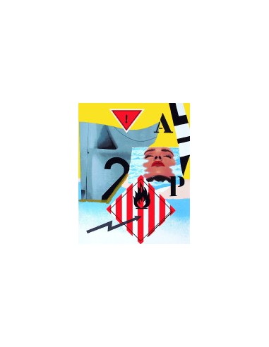 LITHOGRAPHIE PETER KLASEN "Inflammable"