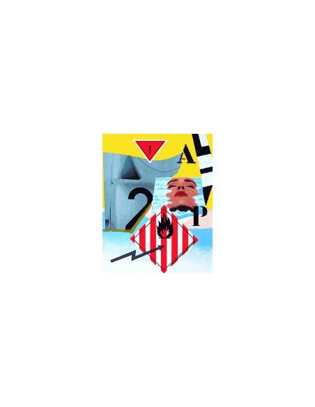 LITHOGRAPHIE PETER KLASEN "Inflammable"