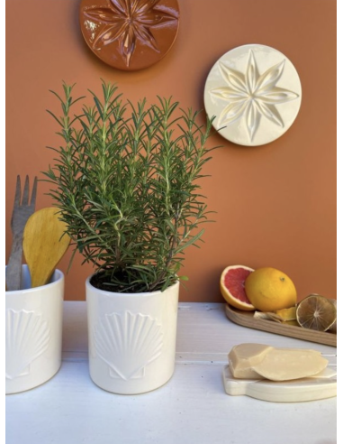 CACHE POT- MONOCHROMIC