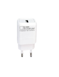 TRANSFORMATEUR POUR GUIRLANDE - LA CASE DE COUSIN PAUL