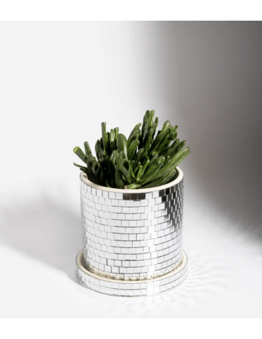 CACHE POT DISCO - L'EXPRESSIONIST