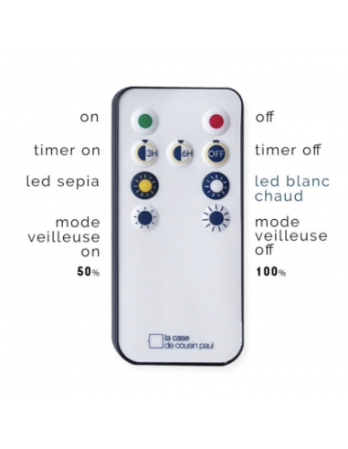 CABLE GUIRLANDE 24 LED AVEC TELECOMMANDE