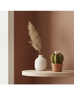 CACTUS EN LAINE BOUILLIE -  NEW HEIDI