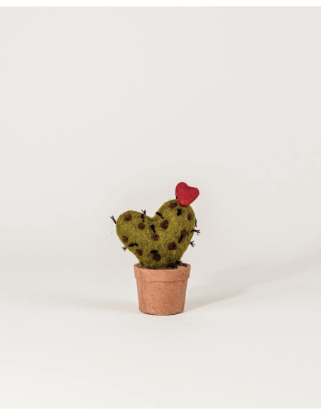 CACTUS EN LAINE BOUILLIE -  NEW HEIDI