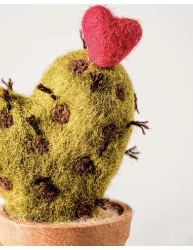 CACTUS EN LAINE BOUILLIE -  NEW HEIDI