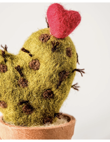 CACTUS EN LAINE BOUILLIE -  NEW HEIDI