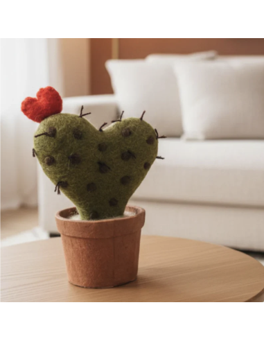 CACTUS EN LAINE BOUILLIE -  NEW HEIDI