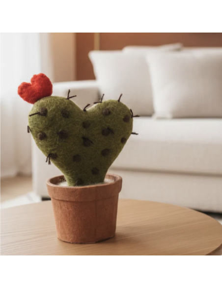 CACTUS EN LAINE BOUILLIE -  NEW HEIDI