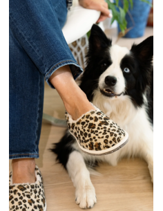CHARENTAISES MARCEL LEOPARD - CAUSSÜN 2