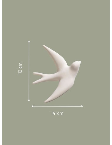 VOLAGE - MONOCHROMIC