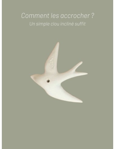 VOLAGE - MONOCHROMIC