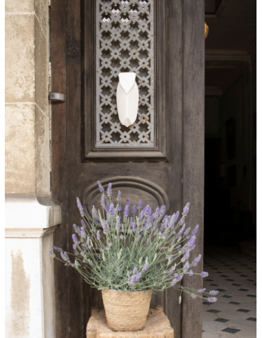 CIGALE DECORATIVE GRAND FORMAT - MONOCHROMIC