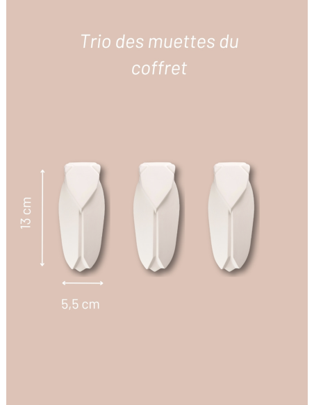 COFFRET 3 MINI CIGALES - MONOCHROMIC