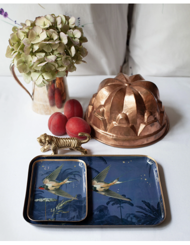 PLATEAU EN MÉTAL ÉMAILLÉ GRAND MODÈLE - PARADISIO IMAGINARIUM