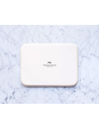 PLATEAU EN MÉTAL ÉMAILLÉ GRAND MODÈLE - PARADISIO IMAGINARIUM