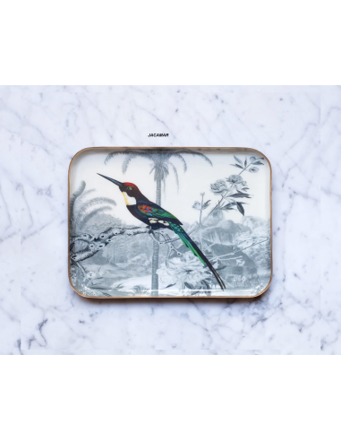 PLATEAU EN MÉTAL ÉMAILLÉ GRAND MODÈLE - PARADISIO IMAGINARIUM