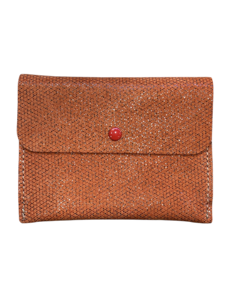 COMPAGNON PLAT - BANDIT MANCHOT 