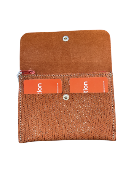 COMPAGNON PLAT - BANDIT MANCHOT 