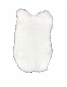 PEAU DE LAPIN NATURELLE  - TERGUS 2