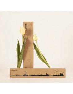 THE LINE - LA SILHOUETTE DES VILLES 2