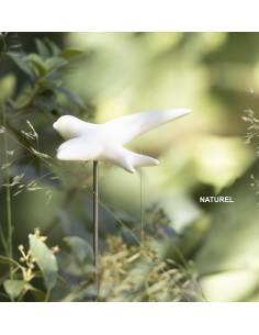 VOLAGE - MONOCHROMIC 2