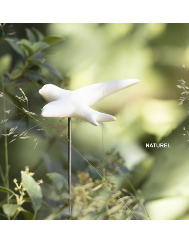 VOLAGE - MONOCHROMIC