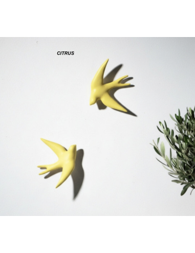 VOLAGE - MONOCHROMIC