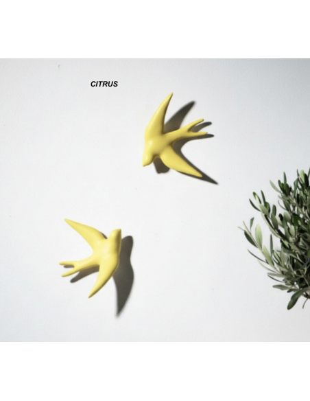 VOLAGE - MONOCHROMIC