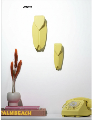 CIGALE DECORATIVE PETIT FORMAT - MONOCHROMIC