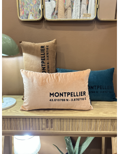 COUSSIN RECTANGULAIRE VELOURS MONTPELLIER - SOPHIE JANIERE