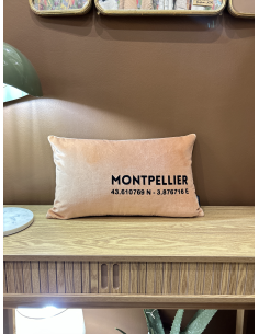 COUSSIN RECTANGULAIRE VELOURS MONTPELLIER - SOPHIE JANIERE 2