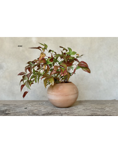 POTERIE ARTISANALE - NAMAN PROJECT