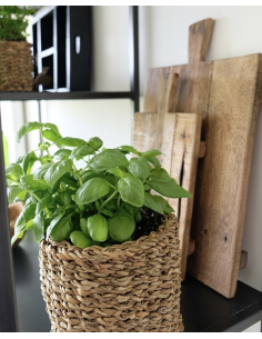 PANIER HOGLA - ORIGINAL HOME