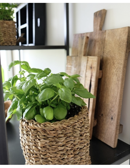 PANIER HOGLA - ORIGINAL HOME