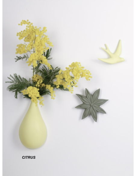 GOUTTE DE TERRE - MONOCHROMIC