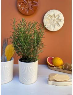 CACHE POT- MONOCHROMIC 2