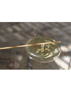 PORTE ENCENS - MAEGEN 2