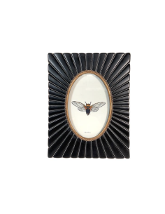 CADRE DORÉ OVALE - EMDE 2