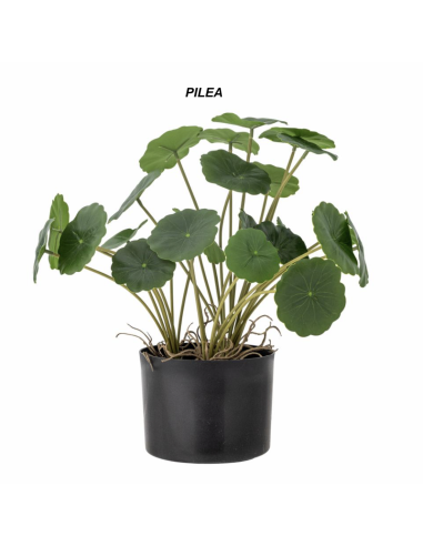 PLANTES ARTIFICIELLES - BLOOMINGVILLE