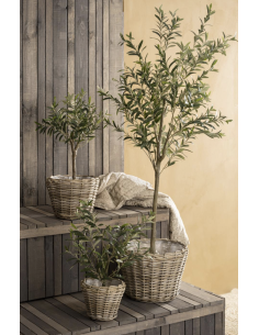 OLIVIER EN POT - IB LAURSEN 2