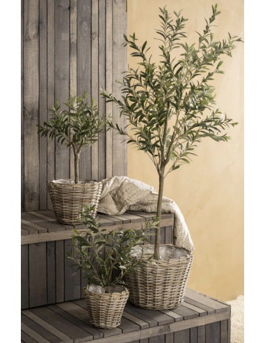 OLIVIER EN POT - IB LAURSEN