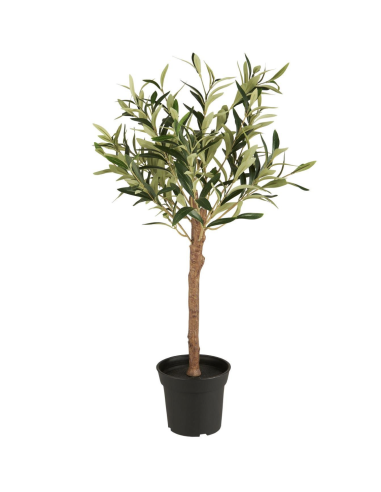 OLIVIER EN POT - IB LAURSEN