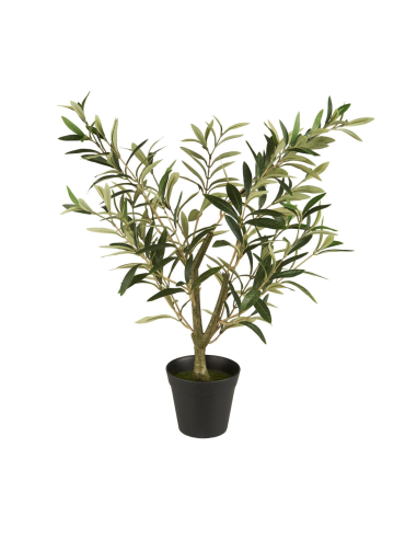 OLIVIER EN POT - IB LAURSEN