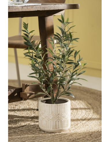 OLIVIER EN POT - IB LAURSEN